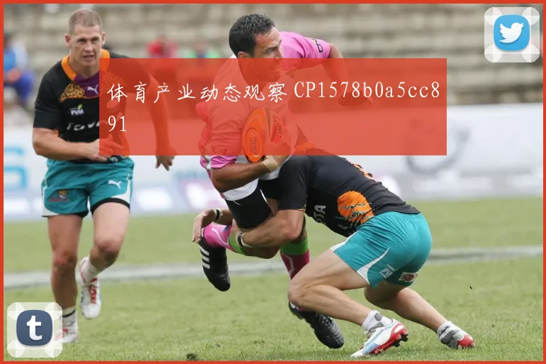 体育产业动态观察 CP1578b0a5cc891